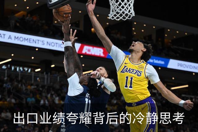 出口业绩夸耀背后的冷静思考