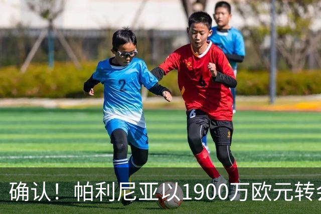 确认！帕利尼亚以1900万欧元转会本菲卡